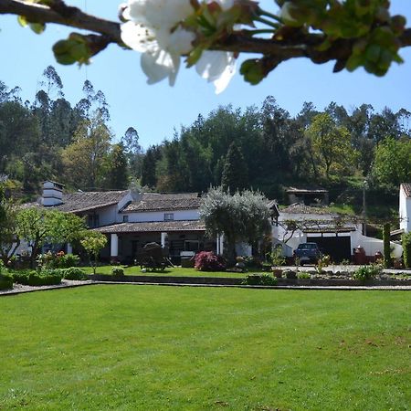 Quintal De Alem Do Ribeiro-Turismo Rural 로우사 외부 사진