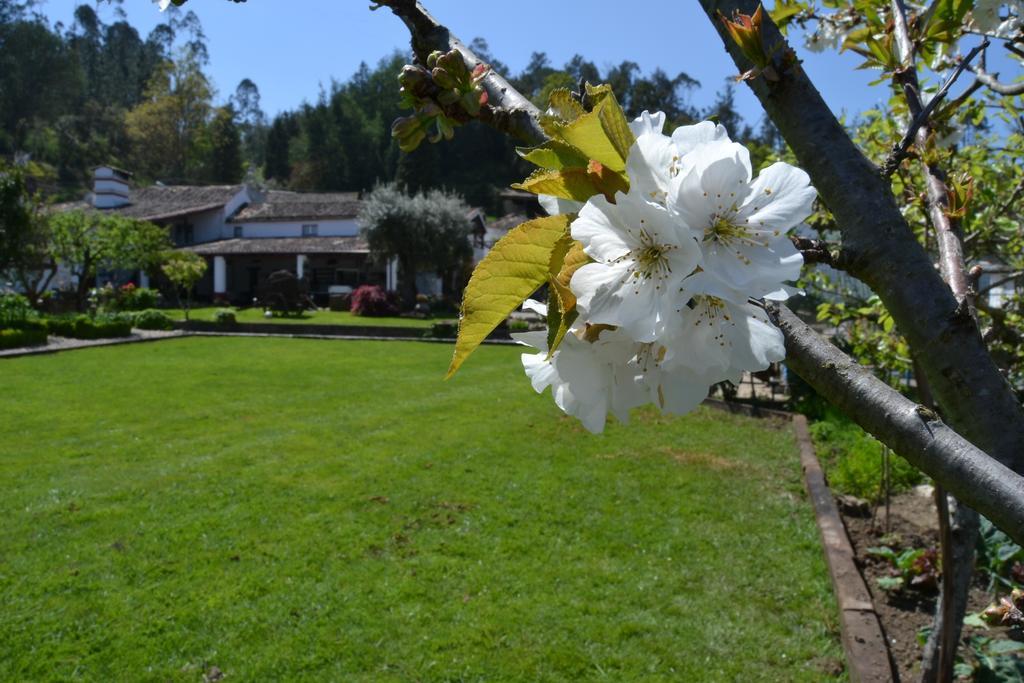 Quintal De Alem Do Ribeiro-Turismo Rural 로우사 외부 사진