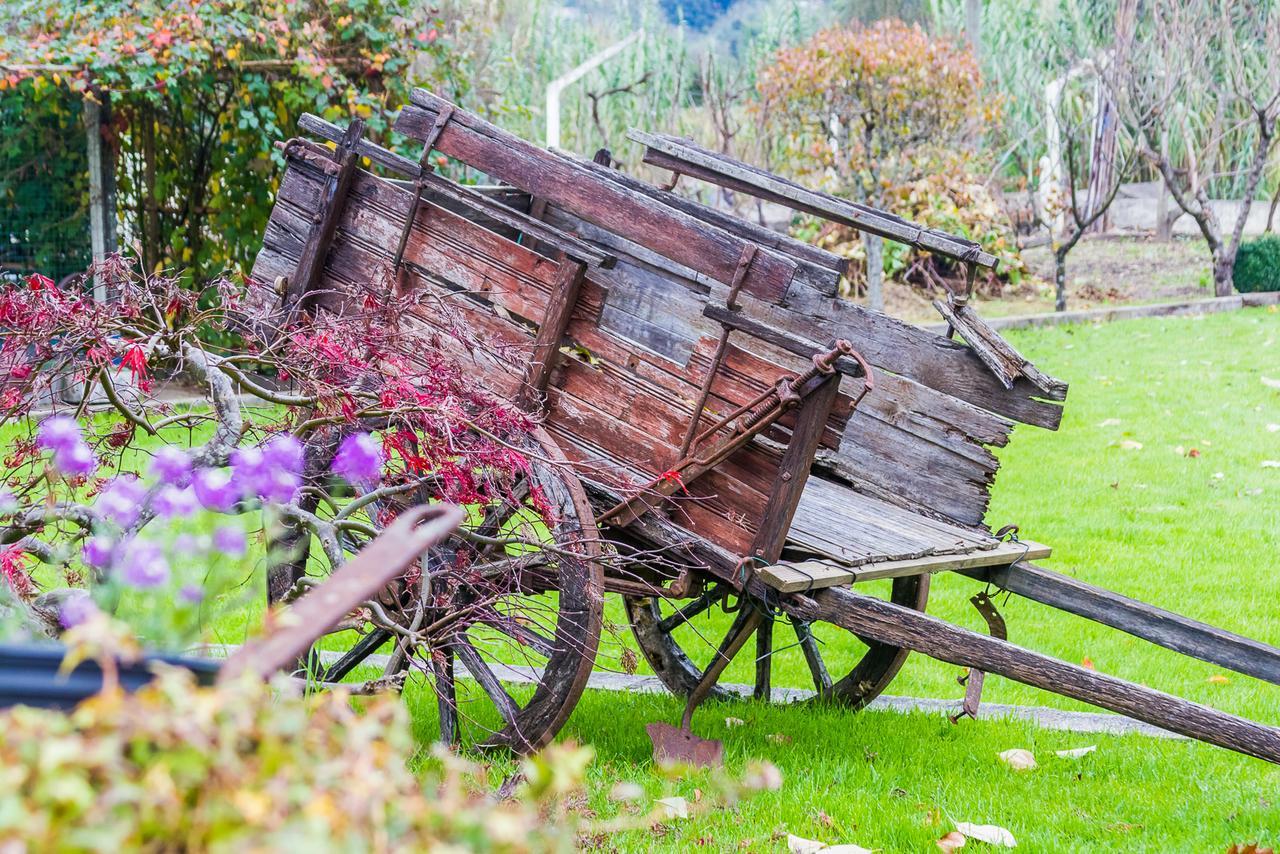 Quintal De Alem Do Ribeiro-Turismo Rural 로우사 외부 사진